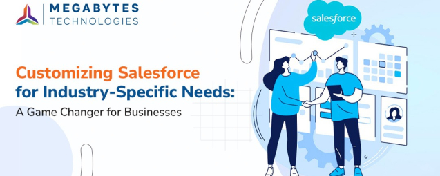 Customizing Salesforce for Industry Specific Needs